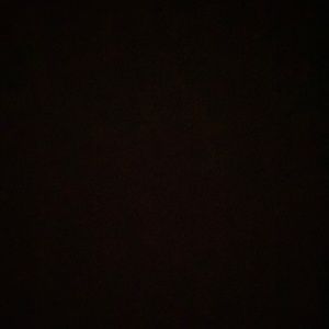 Meet your Posher, Aleena